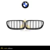جلوپنجره ۲ لاین بی ام و E46