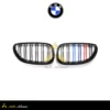 جلوپنجره ۲ لاین بی ام و E60