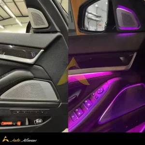 قاب اسپیکر بی ام و سری ۵ بنگ اند آلفسن F10